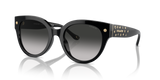 Black / Grey Gradient (50023C)