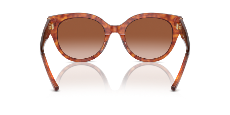 Coach CR612 in Caramel Tortoise / Brown Gradient (577413) - Alternate View