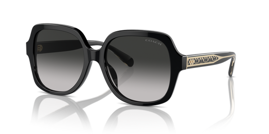 Coach CR614 - Black / Grey Gradient (50023C)