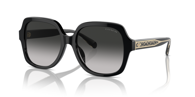 Coach CR614 in Black / Grey Gradient (50023C) - Front View