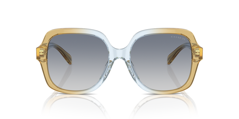Coach CR614 in Cider/Baby Blue / Blue Gradient (581435) - Alternate View