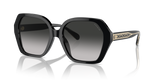 Black / Grey Gradient (50023C)