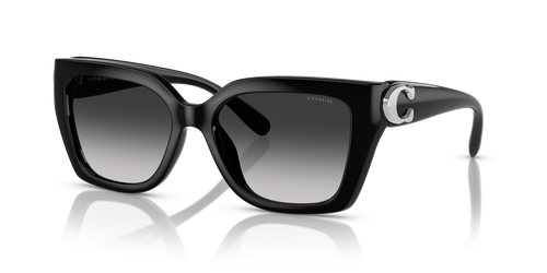 Black / Grey Gradient (50023C)