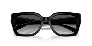 Black / Grey Gradient Polarized (5002T3)