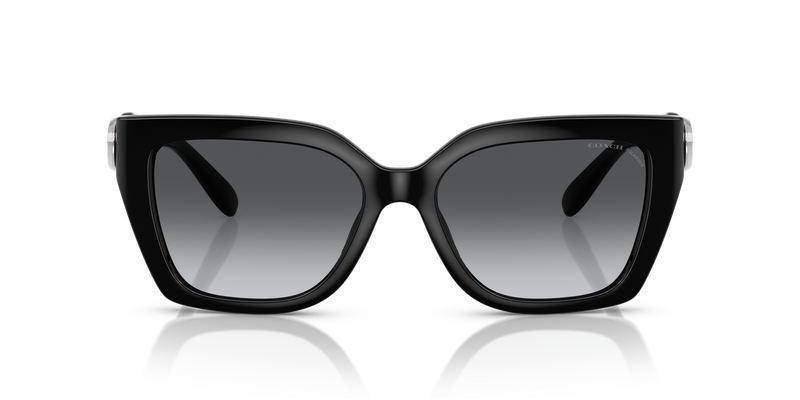 Coach CW195 in Black / Grey Gradient Polarized (5002T3) - Alternate View