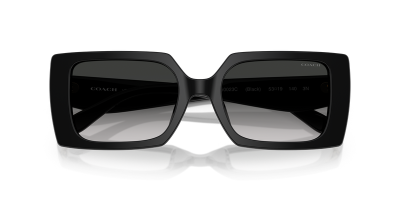 Coach CW224 in Black / Grey Gradient (50023C) - Side View