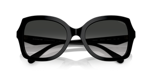 Black / Grey Gradient (50023C)