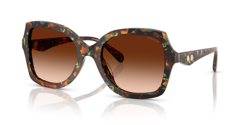 Coach CW225 in Jade Pearl Tortoise / Brown Gradient (584474) - Alternate View