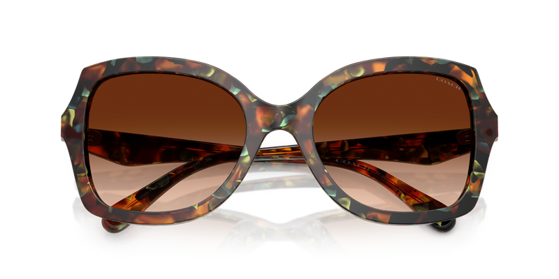 Coach CW225 in Jade Pearl Tortoise / Brown Gradient (584474) - Alternate View