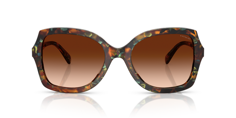 Coach CW225 in Jade Pearl Tortoise / Brown Gradient (584474) - Alternate View