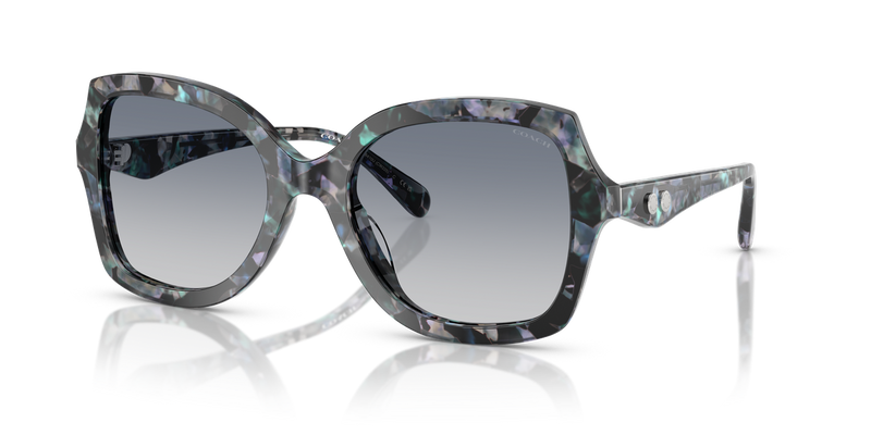 Coach CW225 in Blue Pearl Tortoise / Blue Purple Gradient (584535) - Alternate View