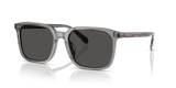 Transparent Grey / Grey Solid (584987)