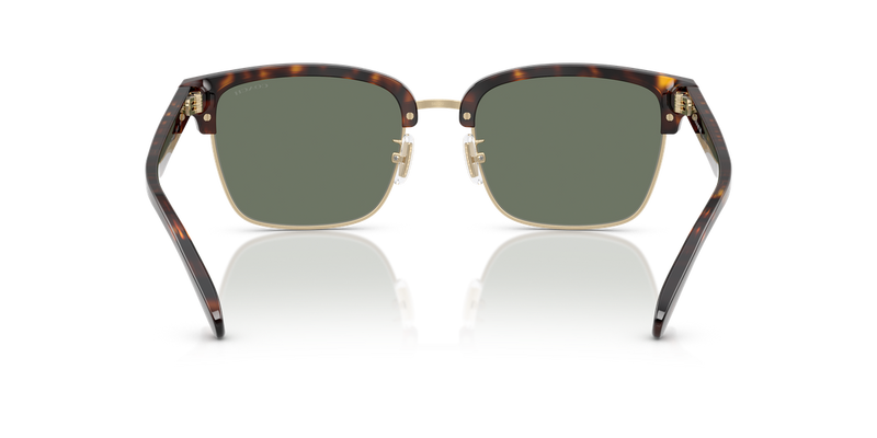 Coach CW406 in Light Gold/Dark Tortoise / Green Solid (51203H) - Alternate View