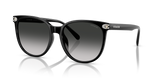 Black / Grey Gradient (50023C)