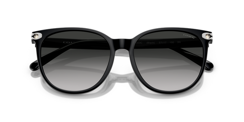 Coach CW428 in Black / Grey Gradient (50023C) - Side View