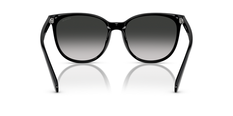 Coach CW428 in Black / Grey Gradient (50023C) - Temple Detail