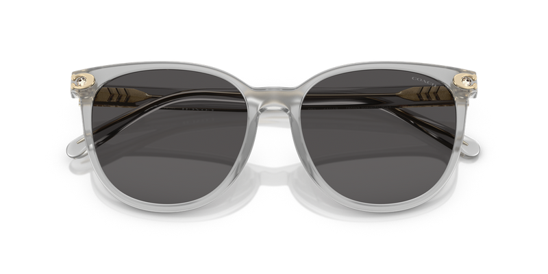 Coach CW428 in Transparent Dove / Grey Solid (561487) - Alternate View