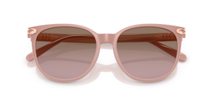 Milky Buff / Brown Rose Gradient (583914)