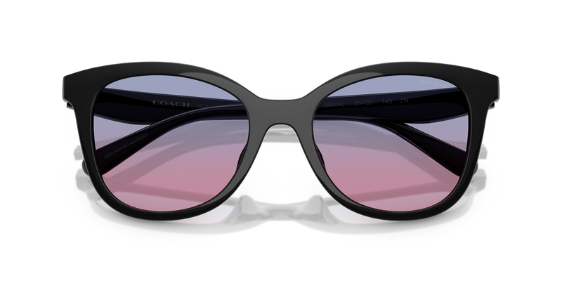 Coach CAD25 in Black / Blue Purple Gradient (500218) - Alternate View
