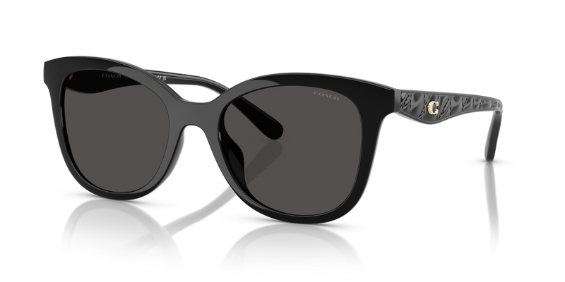 Coach CAD25 in Black / Grey Solid (500287) - Front View