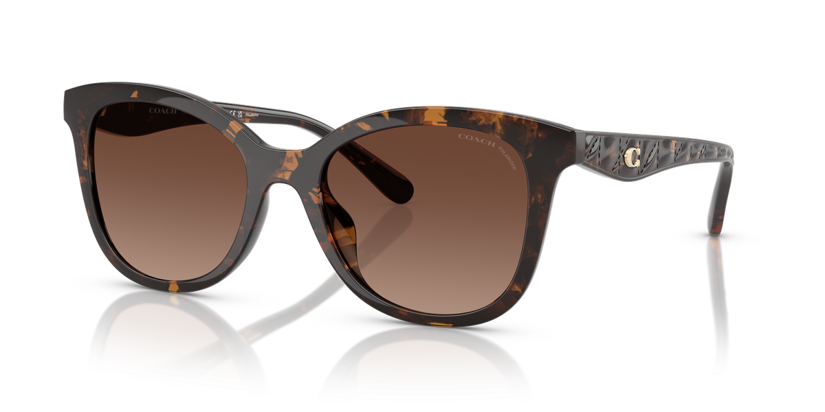 Coach CAD25