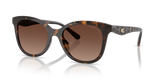 Dark Tortoise / Brown Gradient Polarized (5120T5)