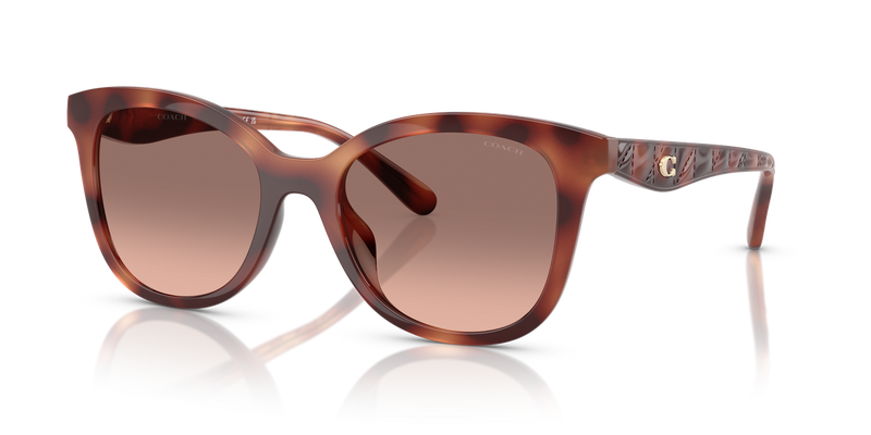Coach CAD25 in Caramel Tortoise / Brown Pink Gradient (577413) - Alternate View