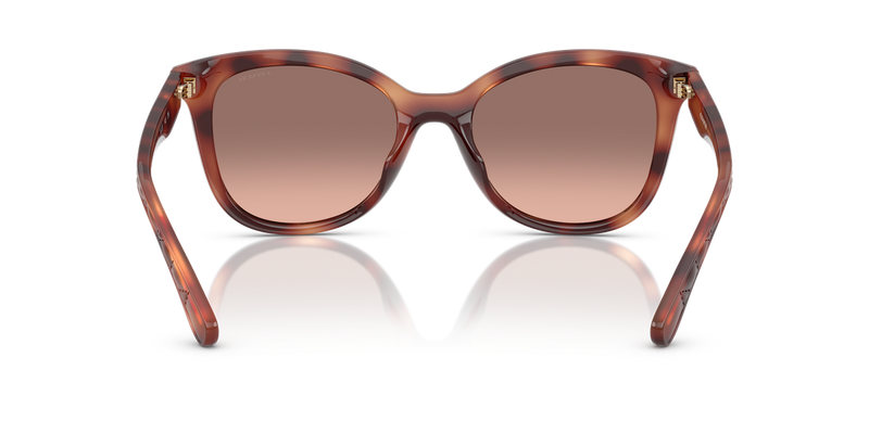 Coach CAD25 in Caramel Tortoise / Brown Pink Gradient (577413) - Alternate View