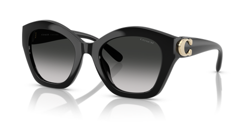 Black / Grey Gradient (50023C)