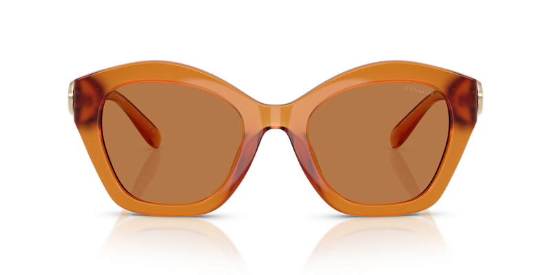 Coach CAD31 in Milky Amber / Brown Solid (564773) - Alternate View