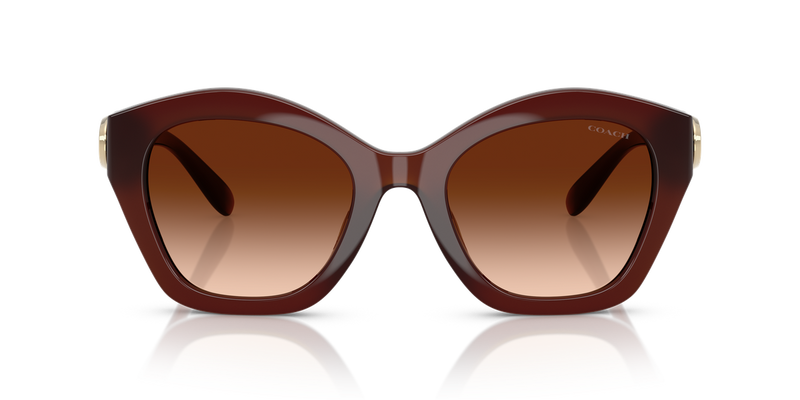 Coach CAD31 in Milky Hazelnut / Brown Gradient (584174) - Alternate View