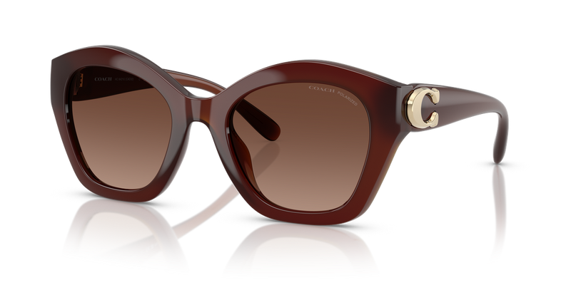 Coach CAD31 in Milky Hazelnut / Brown Gradient Polarized (5841T5) - Alternate View