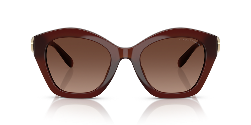 Coach CAD31 in Milky Hazelnut / Brown Gradient Polarized (5841T5) - Alternate View