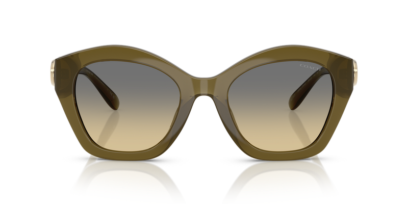 Coach CAD31 in Milky Olive / Grey Olive Gradient (5872L0) - Alternate View