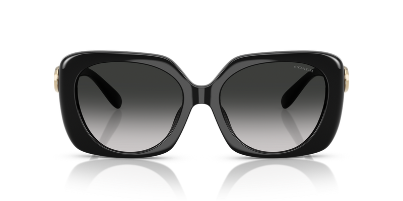 Coach CAD33 in Black / Grey Gradient (50023C) - Alternate View