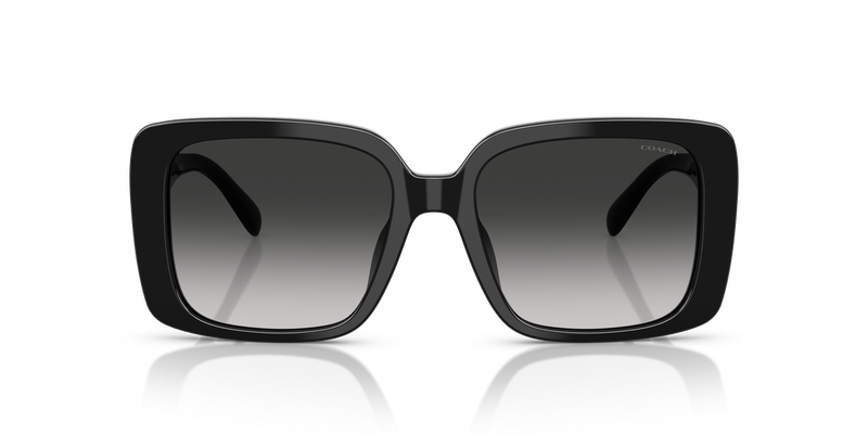 Coach CAD55 in Black / Grey Gradient (50023C) - Alternate View