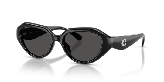 Coach CBY77 - Black / Grey Solid (500287)