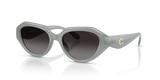 Milky Eucalyptus / Grey (5905T3)