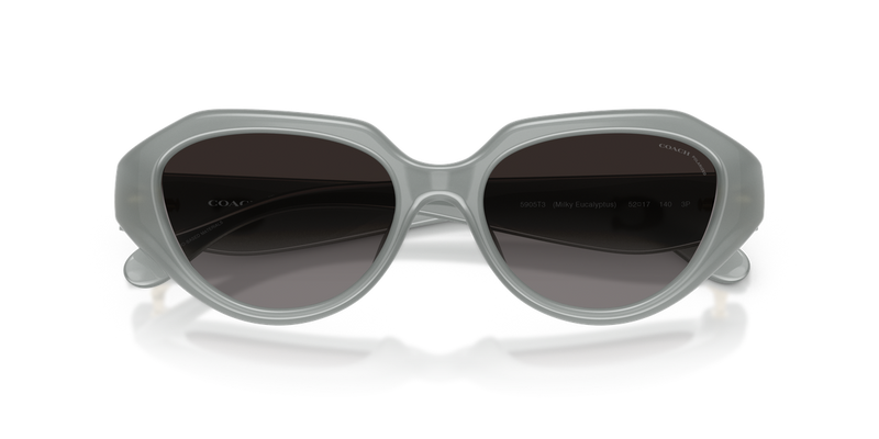 Coach CBY77 in Milky Eucalyptus / Grey (5905T3) - Alternate View