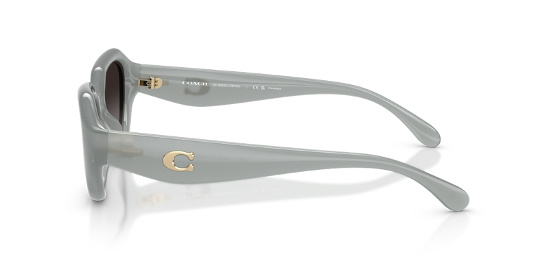 Coach CBY77 in Milky Eucalyptus / Grey (5905T3) - Alternate View