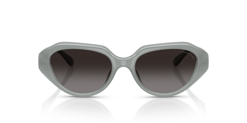 Coach CBY77 in Milky Eucalyptus / Grey (5905T3) - Alternate View