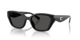 Black / Grey Solid (500287)