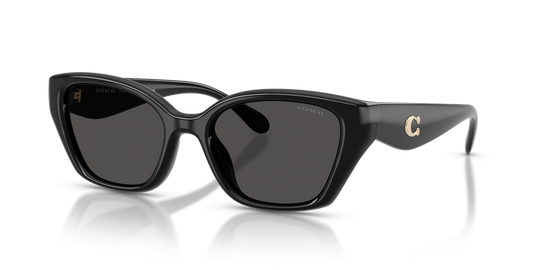 Coach CBY91 - Black / Grey Solid (500287)
