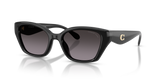 Black / Grey Gradient Polarized (5002F4)
