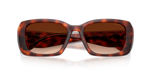 Caramel Tortoise / Brown Gradient (577474)