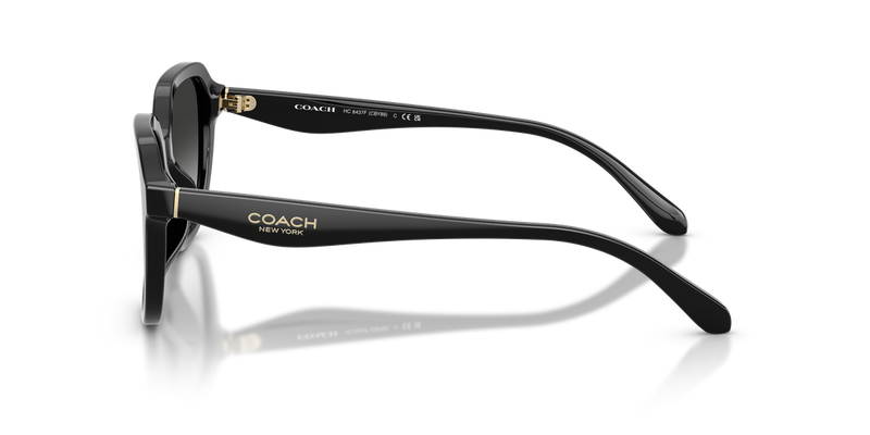 Coach CBY89 in Black / Grey Gradient (50023C) - Back View