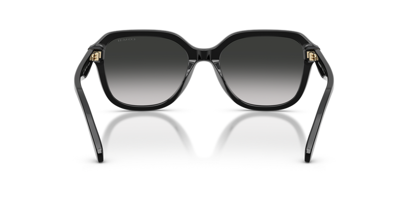 Coach CBY89 in Black / Grey Gradient (50023C) - Temple Detail