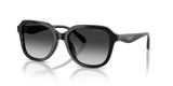 Black / Grey Gradient (50023C)