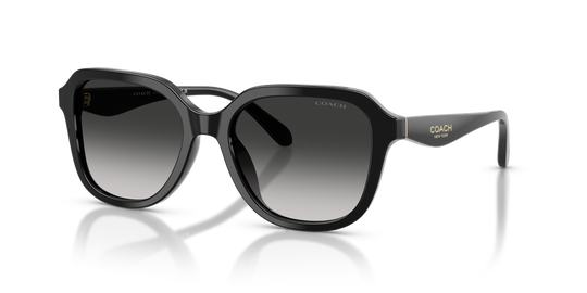 Coach CBY87 - Black / Grey Gradient (50023C)