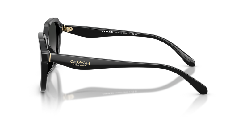 Coach CBY87 in Black / Grey Gradient (50023C) - Back View